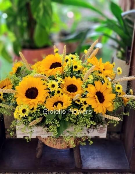 Composizione in cassetta con girasoli