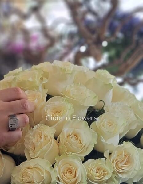 SOLO Rose bianche, SENZA verde e confezione, a stelo prima scelta, lunghezza 60 cm