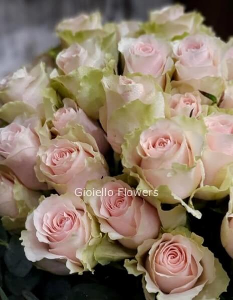 SOLO Rose rosa a steli,SENZA verde e confezione, prima scelta, lunghezza 60 cm