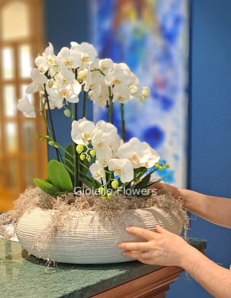 Composizione di orchidee con vaso in vetro