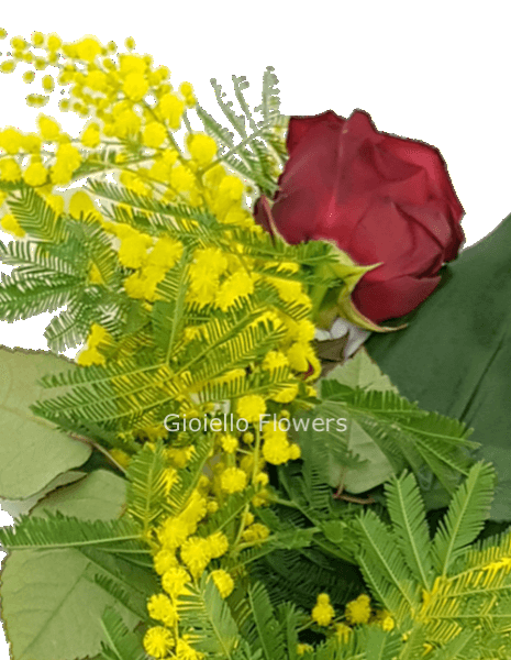 Bustina con rosa e mimosa