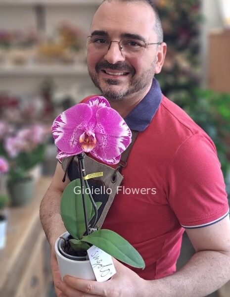 Orchidea singolo con vaso