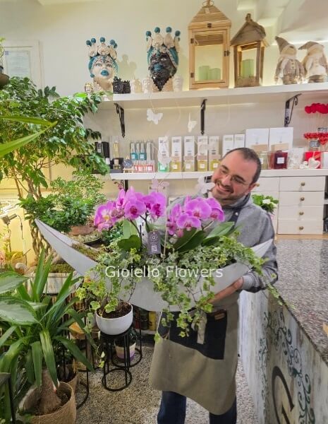 Composizione di orchidee in vaso