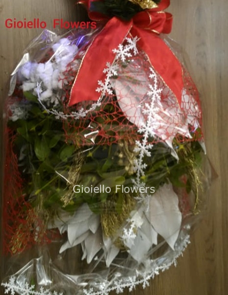 Vischio Natalizio classico