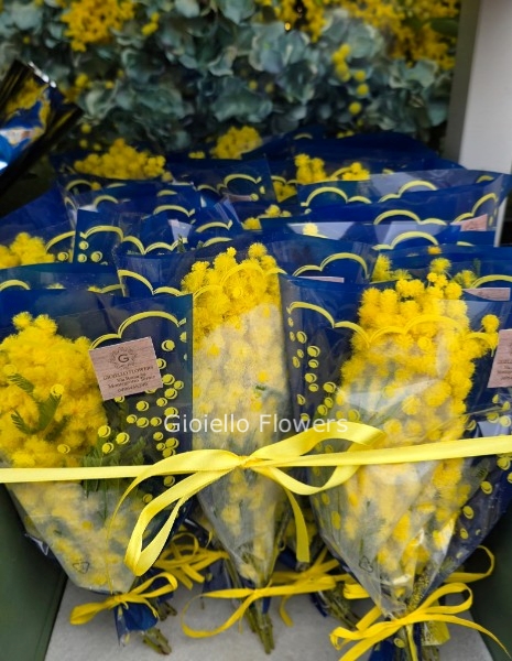 Bustine di mimose H20 min. 9 (identificati come numero di steli)