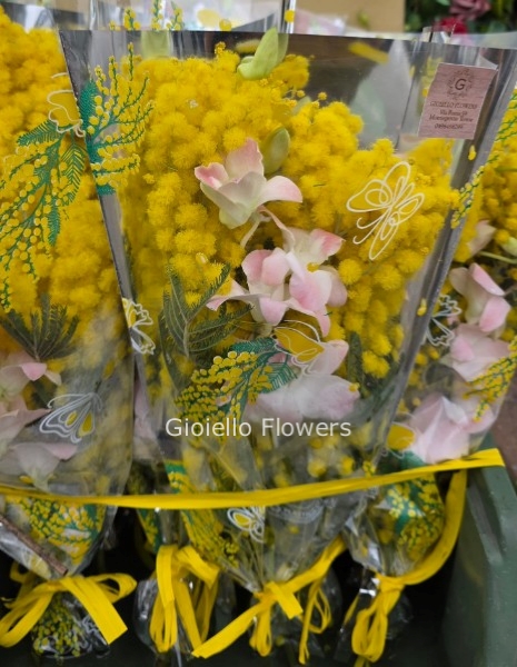 Bustine di mimose e orchidea H40 min. 3 (identificati come numero di steli)