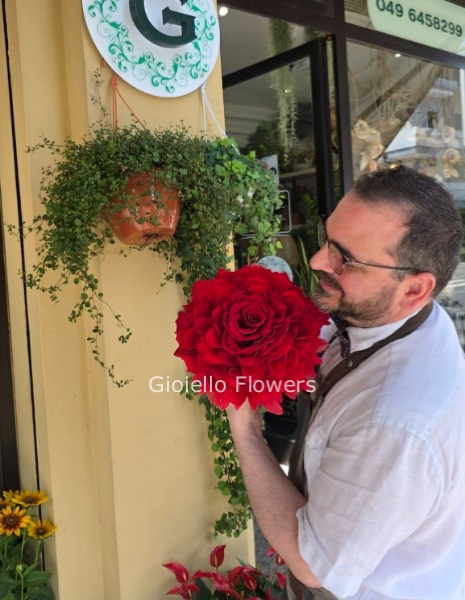 Rosa Glamelia naturale bianca